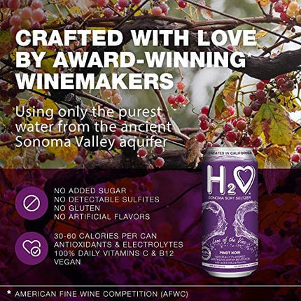 H2o (Best Vintage!) The Best Non Alcoholic Red Wine - Infused California Beverage, 0.0% Alcohol | Unlocked by Science, (Pinot Noir, Pack of 4 - 16 Fl oz)