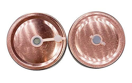 Home Suave - Mason Jar Mugs with Handle, Regular Mouth Colorful Lids with 2 Reusable Stainless Steel Straw, Set of 2 (Rose Gold), Kitchen GLASS 16 oz Jars,"Refreshing Ice Cold Drink" & Dishwasher Safe