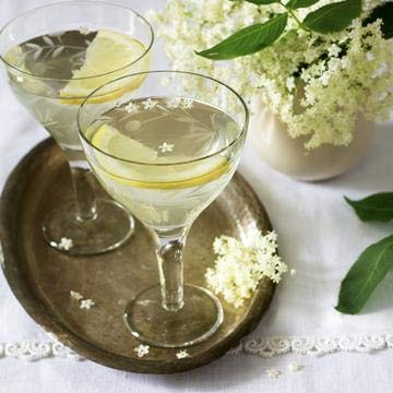 Jordans Skinny Syrups Sugar Free Lemon Elderflower Syrup | Gluten Free | Keto | Kosher | Made in the USA …