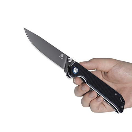 Kizer Cutlery Begleiter Folding Pocket Knife Black G10 Handles Knife, Begleiter V4458A1 (Black G10 handle + N690 blade)