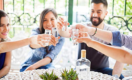 Lillian Rose Set of 4 Tall Shot Glasses, 4 Count (Pack of 1), Clear