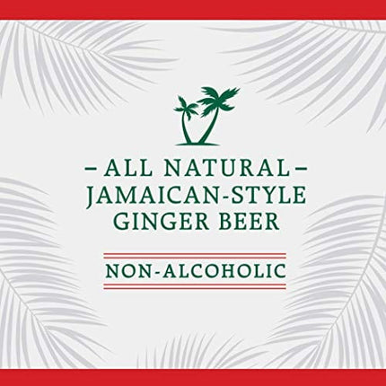 Reed's, Zero Sugar Extra Ginger Beer, Great Tasting All Natural Certified Ketogenic Soda Drink (12OZ Bottle)