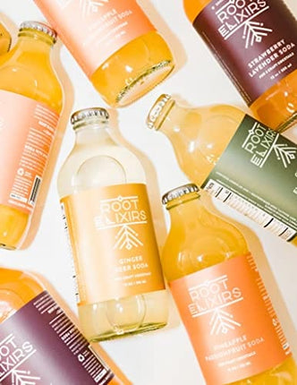 6 Root Elixirs Pineapple Passionfruit Sparkling Mixer 12oz