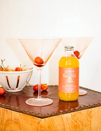 6 Root Elixirs Pineapple Passionfruit Sparkling Mixer 12oz