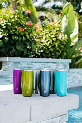 SNOWFOX Elegance Collection Insulated Stainless Steel Beer Glass, 18-Ounce, Olive Grey