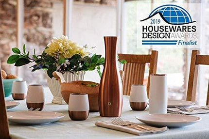 SNOWFOX Insulated Stainless Steel Beer Glass, 16.9-Ounce Set, White/Gold