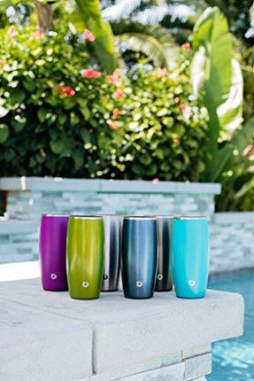 Snowfox Stainless Steel Beer Glass, 16.9-Ounce Set, Metallic Green