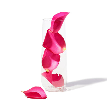 TOSSWARE 9oz Flute - recyclable champagne plastic cup - SET OF 12 - stemless, shatterproof and BPA-free flute glasses