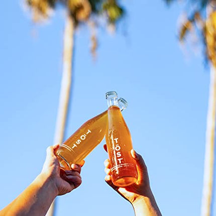 TÖST All-Natural Alcohol Free Sparkling Beverage, 25.4 Fl Oz (Pack of 3)