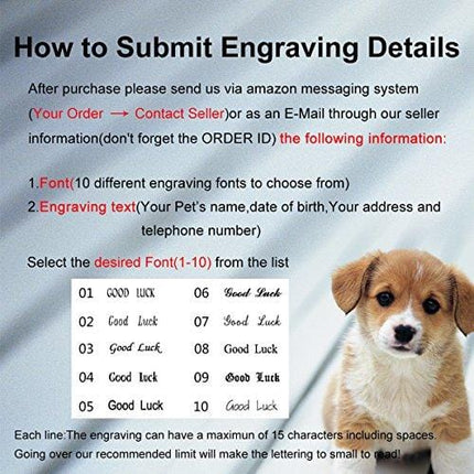 Valyria Frosted Stainless Steel Bottle Opener Dog ID Tags Personalized