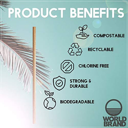 World Brand 250 Count Kraft Paper Straws - Eco-Friendly Party Supplies - Biodegradable Drinking Straws - Plastic & Dye Free - Unwrapped - Perfect for Juices, Shakes, Smoothies, Ice Coffee & More