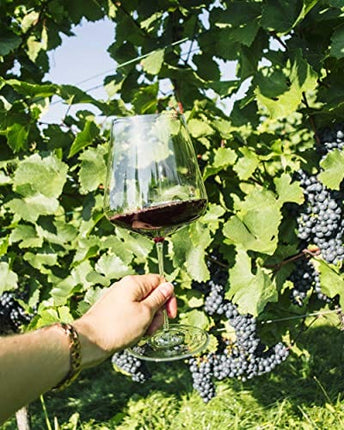 Zalto Denk'Art Bordeaux Wine Glass Hand-Blown Crystal | Boxed Set of 6