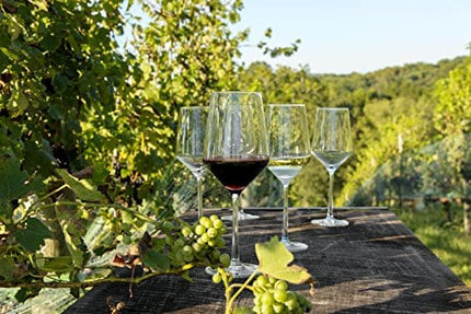 Zwiesel Glas Tritan Crystal Pure Stemware Collection Glassware, 6 Count (Pack of 1), Cabernet/All Purpose, Red or White Wine Glass