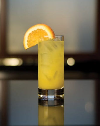 Zwiesel Glas Tritan Paris Barware Collection Collins/Long Drink Cocktail Glass 11.1-Ounce, Set of 6